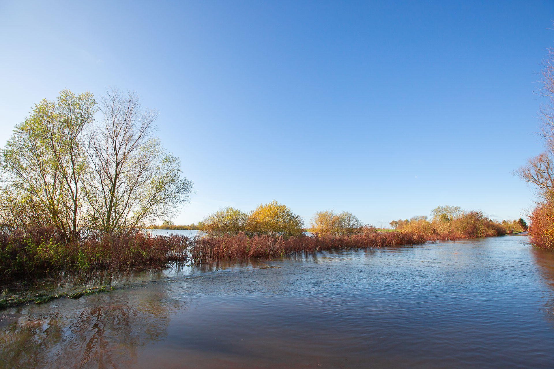 Things to do in East Cambridgeshire - walks - Image of autumnal trees along riverside