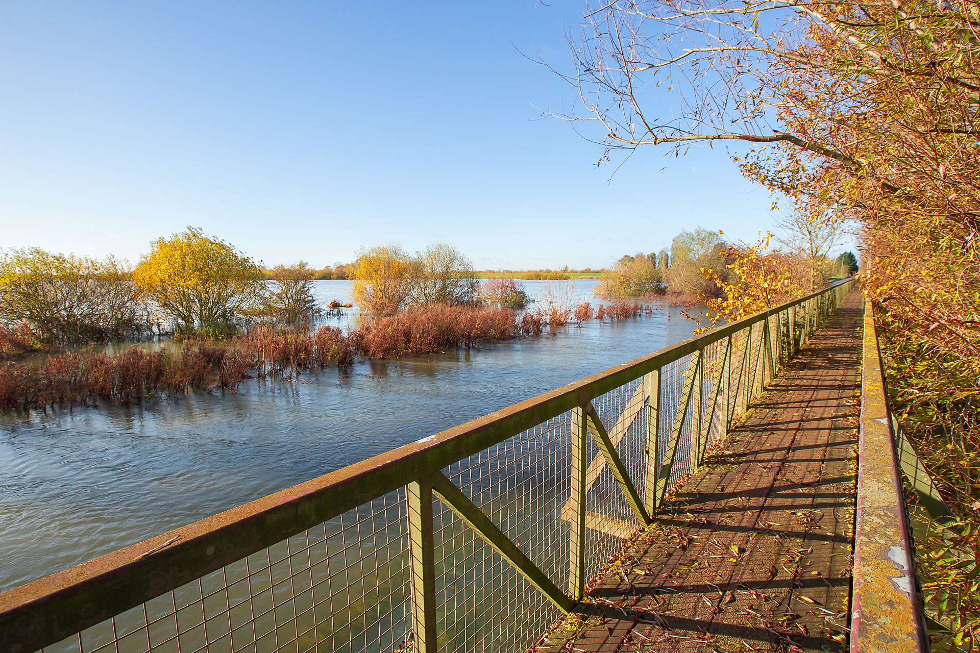 Things to do in East Cambridgeshire - Walks. Footpath along bridge over river with autumnal trees