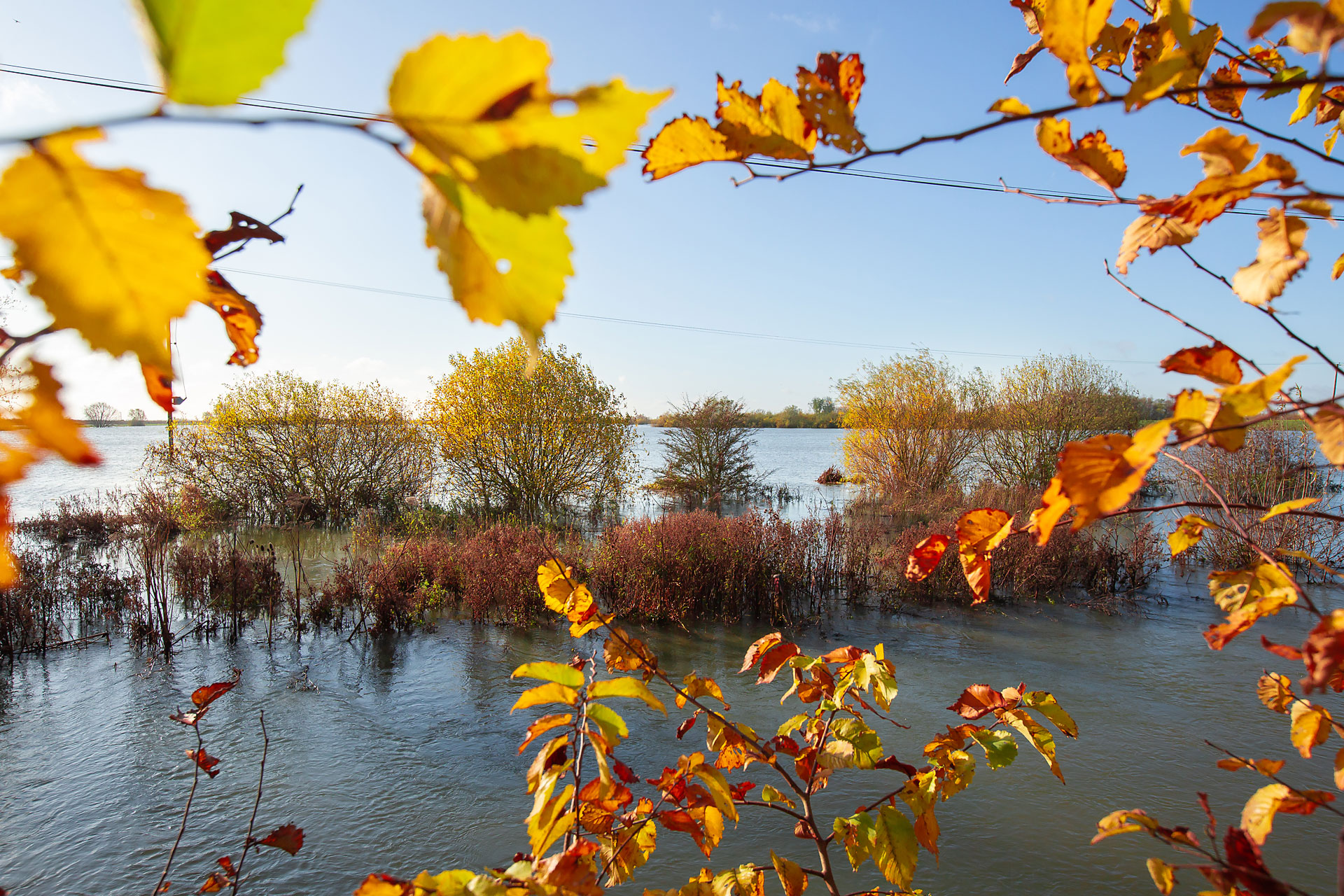 Seasonal image for Autumn