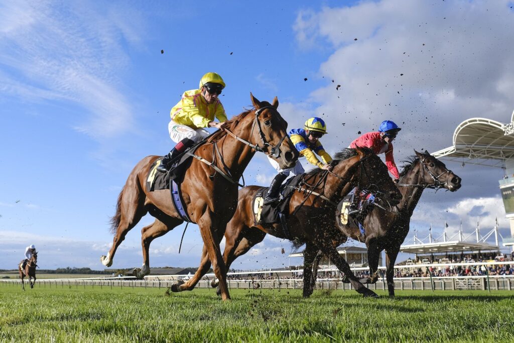 Newmarket Racecourses